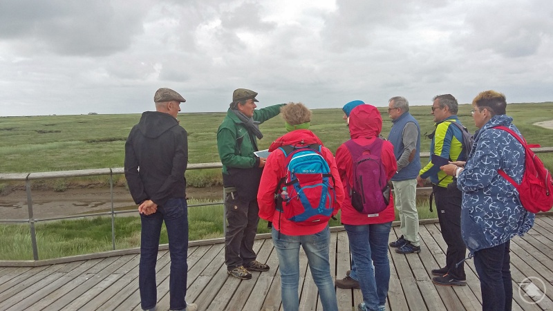 Neben dem Dialog mit Lehrerkollegen standen für die Bayerwald-Delegation auch Führungen mit Wattenmeer-Rangern auf dem Programm.
