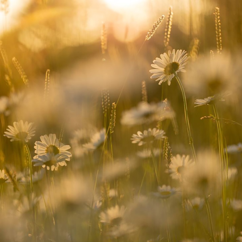 Flyer/Grafik zum Event: Benjamin Paulis „Zweiter Blick“ am Fr., 15.03.2024 ab 17:00 Uhr