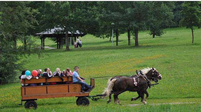 Flyer/Grafik zum Event: Pferdekutschenfahrt am So., 27.10.2019 von 14:00 bis 15:00 Uhr