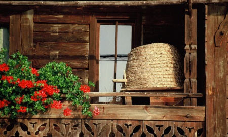 Was die Biene alles kann: Ferienprogramm für Kinder im Freilichtmuseum Finsterau am 25. August