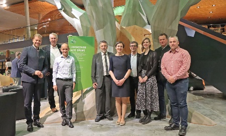 Ein neuer Baum erstrahlt im Haus zur Wildnis
