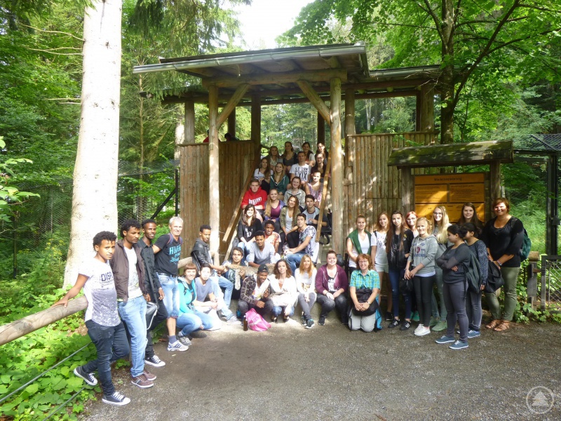 Die Schülerinnen und Schüler der FOS-Sozialklassen und der Berufsintegrationsklassen auf dem Weg durch das Tierfreigelände des Nationalparks. Mit dabei: Lehrerinnen und Lehrer des BSZ Waldkirchen sowie Lehrpersonal der Volkshochschule des Landkreises Freyung-Grafenau.
