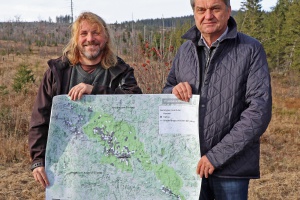 Auerhuhn-Population in den Nationalparks ist stabil