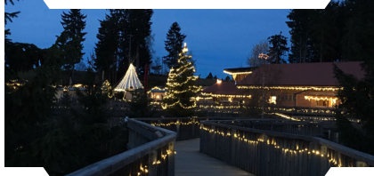 Flyer/Grafik zum Event: Romantischer Weihnachtsmarkt auf dem Waldwipfelweg am Fr., 22.11.2019 - So., 24.11.2019 von 15:00 bis 20:00 Uhr