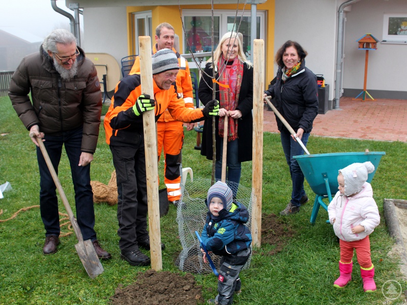 Sie pflanzten mit den Kindern einen Baum (v.li.) Kreisgartenfachberater Klaus Eder, der Kollnburger Gartenbauvereinsvorsitzender Helmut Stoksa, Stefan Wilhelm (Bauhof Kollnburg), Bürgermeisterin Josefa Schmid und Brigitte Blaim.