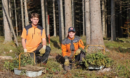 Forstwirt-Azubis ziehen Zwischenbilanz