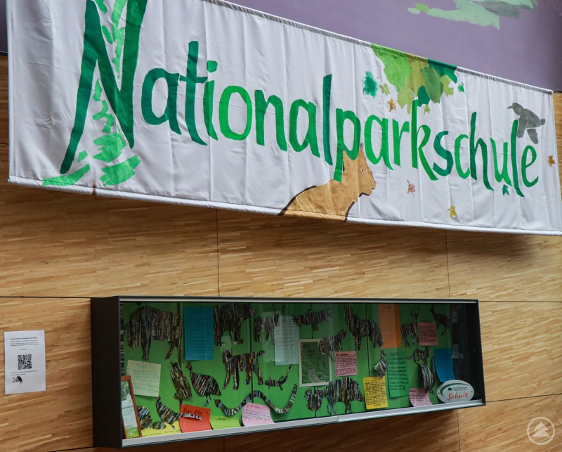 Das Banner gestalteten Realschüler zusammen mit Rudi Ranzinger. Im Schaukasten werden aktuelle Arbeiten zum Thema Nationalpark gezeigt.
