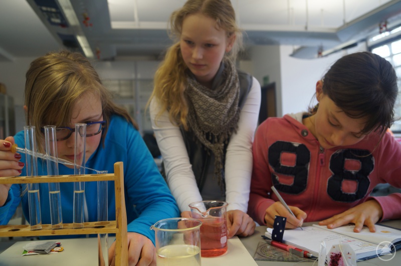 Schülerinnen forschen am LLG