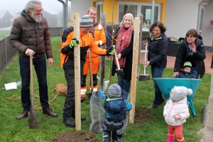 Süße Artenvielfalt für Insekten und Kinder