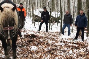 Mehr Lebensraum für seltene Arten