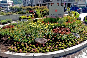 Sommerbepflanzung in der Stadt Passau