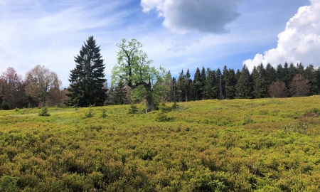 Grenzgänger auf dem Weg zum Mittagsberg