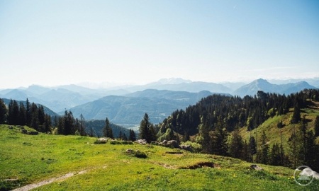 Die Zukunft des Bayerischen Waldes: Wie sich Klimawandel und Tourismus auf Umwelt und Gesellschaft auswirken