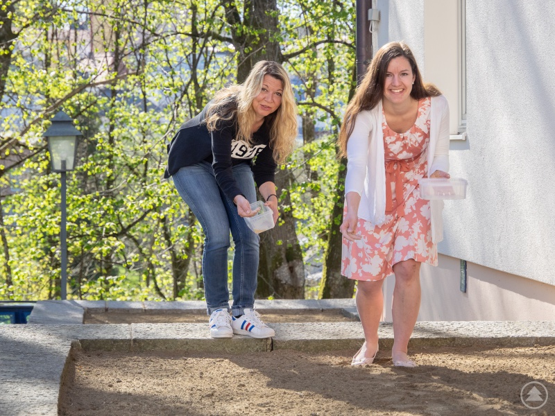 Architektin Susanne Bauer (links) und Klimaschutzmanagerin Verena Holzbauer säen an den frei gewordenen Flächen am Landratsamtsgebäude Wolfstein verschiedene Blühmischungen an.