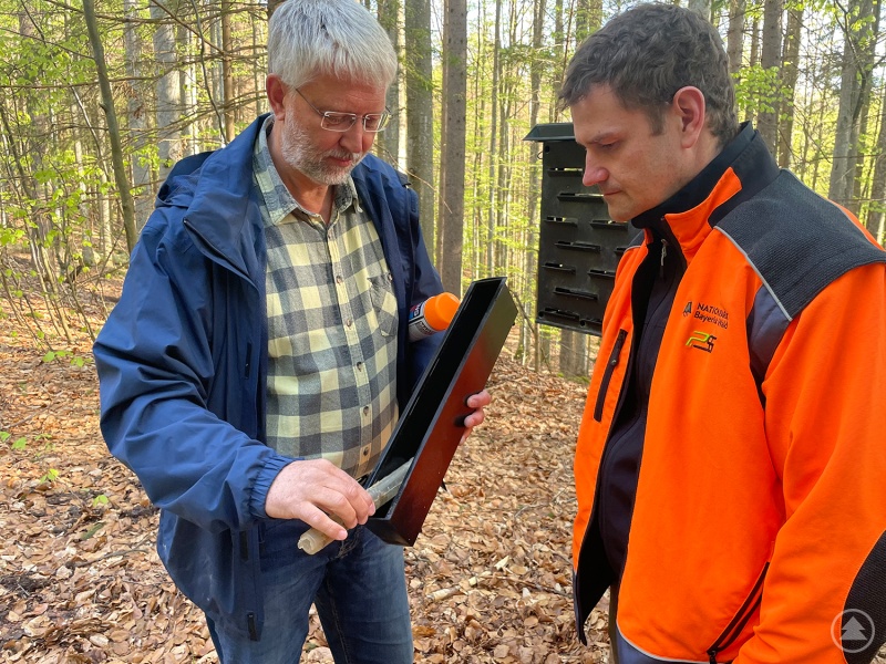 Ingo Brauer, Leiter der Nationalparkdienststelle Scheuereck (l.), und Martin Scholz, stellvertretender Leiter des Sachgebietes Wald- und Flächenmanagement, bei der Kontrolle einer Käferfalle