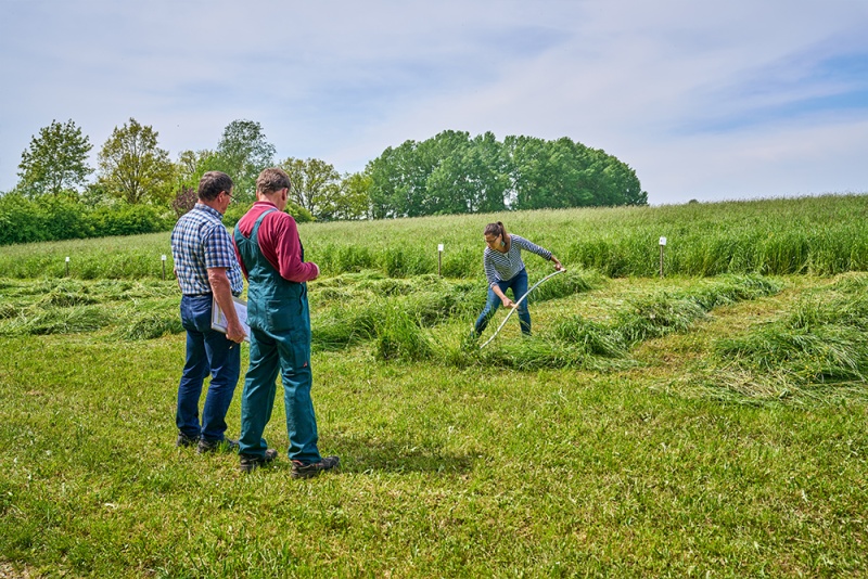 Flyer/Grafik zum Event: Internationaler Museumstag und Sensenmähwettbewerb im Freilichtmuseum Massing am So., 19.05.2024 ab 10:00 Uhr