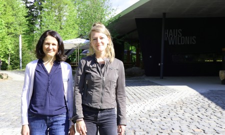 Bekannte und neue Gesichter im Haus zur Wildnis