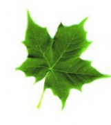 Bau- und Möbelschreinerei Appl