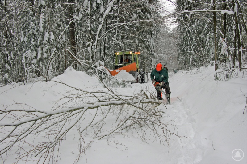 Nationalparkmitarbeiter sind aktuell damit beschäftigt die Winterwanderwege Zug um Zug zu räumen und freizuschneiden.