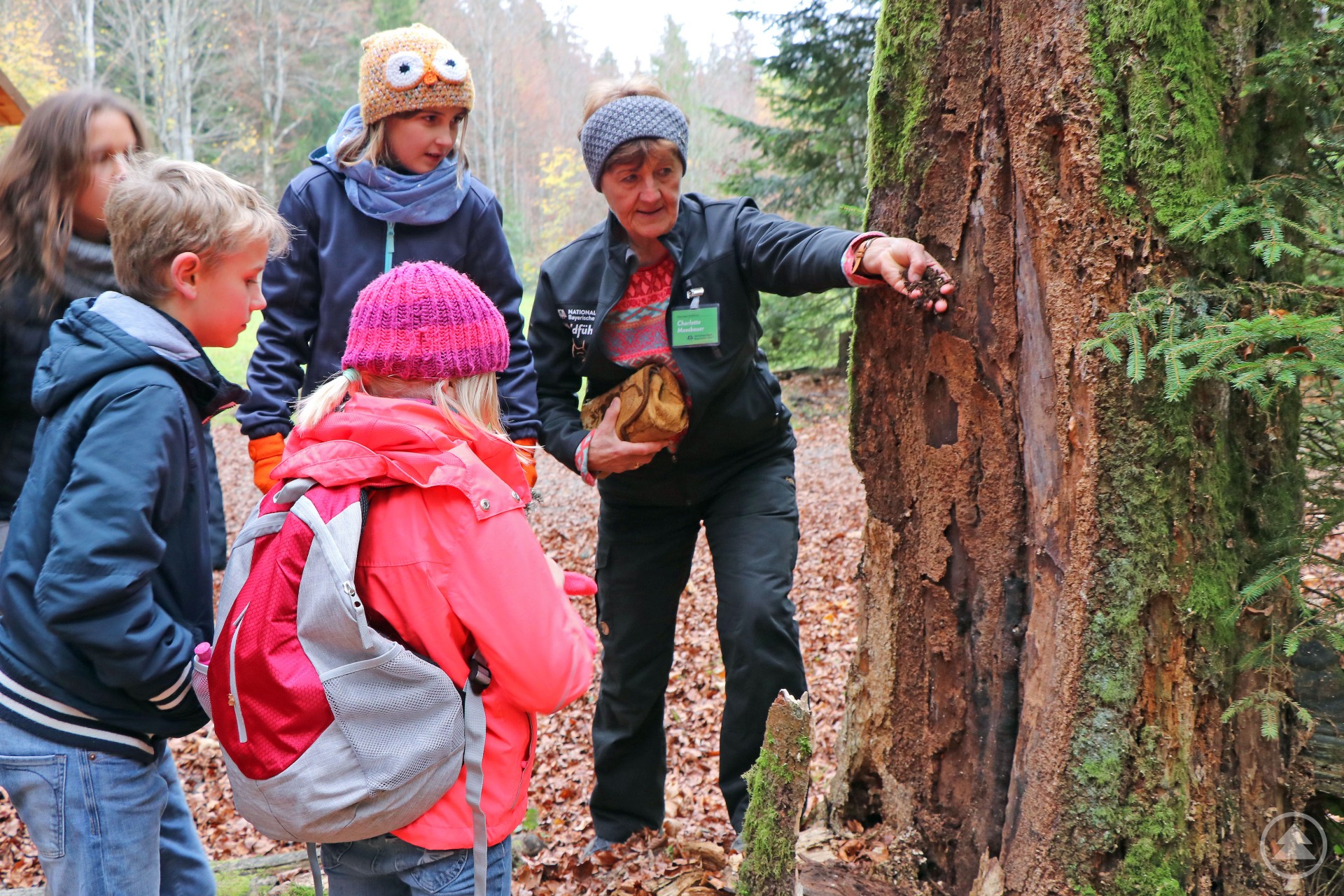 In den Herbstferien können Kinder die wilden Wälder des Nationalparks entdecken