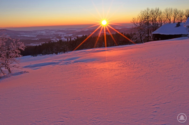Das Foto zeigt eine winterliche Abendstimmung bei minus 15 Grad in Obergrainet auf 1000 Metern Höhe vom 22. Januar. An 31 Tagen sank im vergangenen Monat die Quecksilbersäume im Bayerischen Wald in der Nacht unter null Grad ab. Ein winterlicher Hang liegt unter einer dicken Schneedecke, die im warmen Licht der tief stehenden Sonne rosarot schimmert. Am Horizont strahlt die Sonne mit deutlichem Sterneneffekt über einer weiten, hügeligen Landschaft; rechts stehen kahle, vereiste Bäume neben einem verschneiten Gebäude.