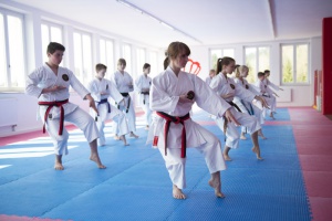 Shitoryu Shukokai Karate Deutschland Cup 2016