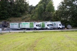 Konrad Kunz: Bodendecker und Gartenbau