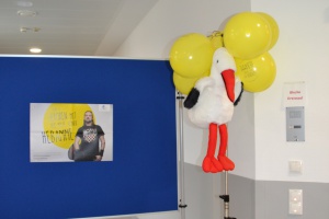 Tag der offenen Tür in der Geburtshilfe ein voller Erfolg