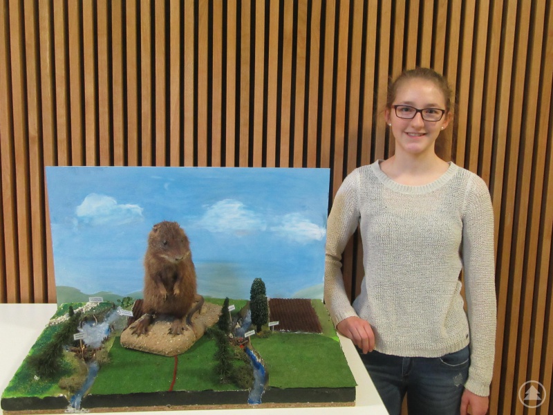 Mit einem tierischen Schwimmer beschäftigte sich Magdalena Groß.