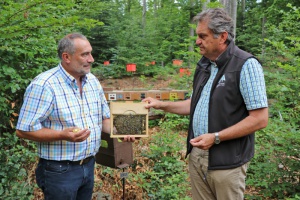 Bienen-Königinnen aus dem Nationalpark bevölkern ganz Europa