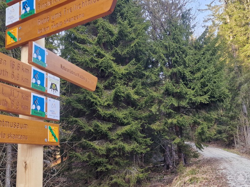 Vom Reschbachtal hinauf zum Wistlberg – das ist ab sofort auf dem neu ausgeschilderten Radweg möglich. Das Bild zeigt eine neue Wegbeschilderung inmitten eines dichten Nadelwaldes, die verschiedene Rad- und Wanderwege im Grenzgebiet zwischen Deutschland und Tschechien ausweist. Die hölzernen Wegweiser informieren über Strecken wie „Rund ums Freilichtmuseum“, den „Nationalpark-Radweg“ oder das „Naturerlebnis Wistlberg“, das direkt über den sichtbaren Schotterweg erreichbar ist. Auch Ziele wie Finsterau, Buchwald oder der Lusen sind mit Entfernungsangaben versehen. Die Beschilderung ist zweisprachig – auf Deutsch und Tschechisch – und deutet auf die grenzüberschreitende Bedeutung der Region hin. Die idyllische Waldlandschaft lädt zu einer naturnahen Rad- oder Wandertour ein.