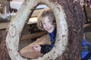 1. Niederbayerischen Holzforum