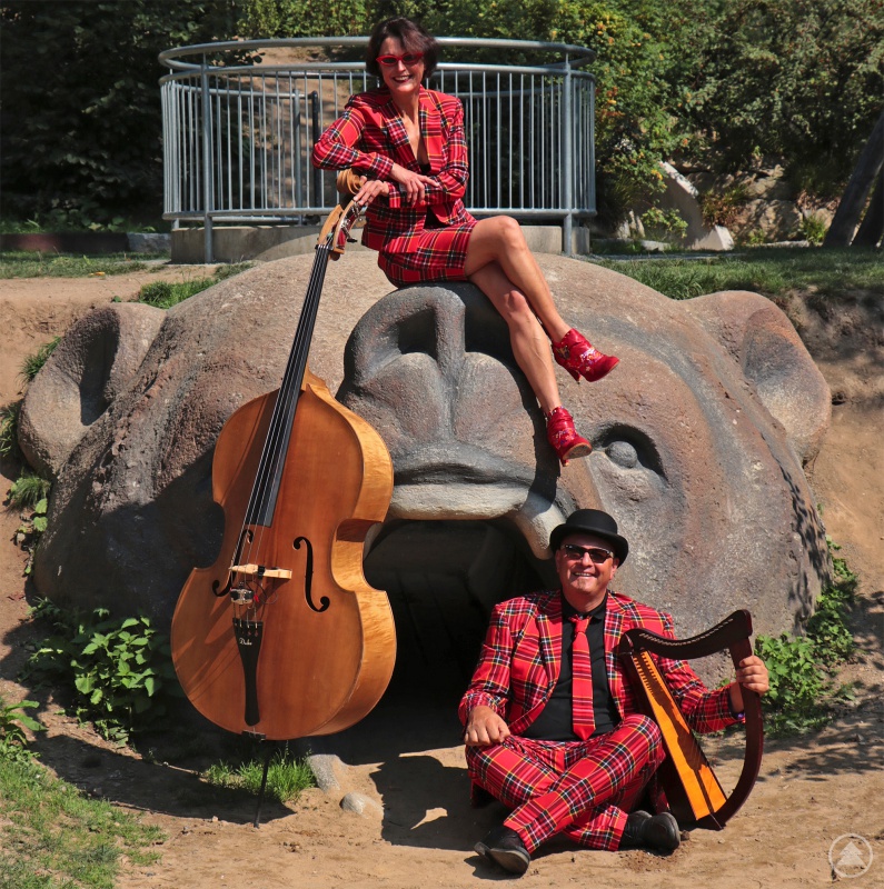 „VEBO“ wird bei der Online-Vernissage mit Harfe und Kontrabass die Waldsinfonie „Woidbuidl“ aufführen.