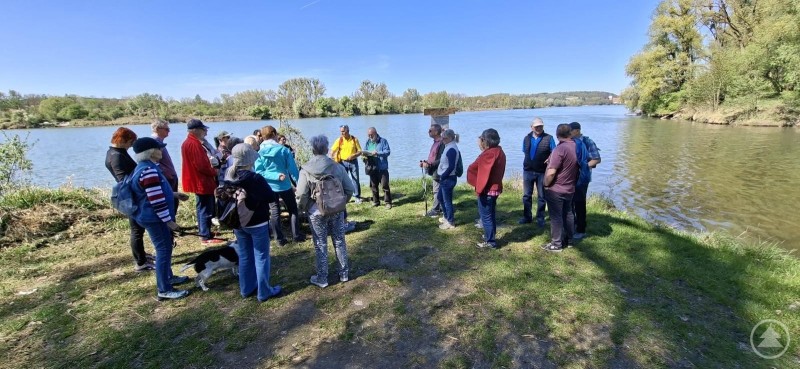 Beim Tag der Bewegung erkundeten die Teilnehmer gemeinsam die Natur entlang der Pram und des Doblbachs. Eine Gruppe von Teilnehmern des Tags der Bewegung steht bei sonnigem Wetter an einem Flussufer in Schärding und lauscht den Erklärungen eines Naturführers.