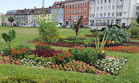 Sommerbepflanzung in der Stadt Passau