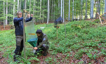 „Dieses Projekt macht den Nationalpark zum  Schwerpunktforschungsgebiet“