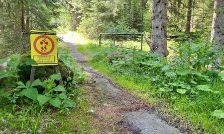 Nationalpark Bayerischer Wald: Kaputte Brücke sorgt für gesperrten Radweg