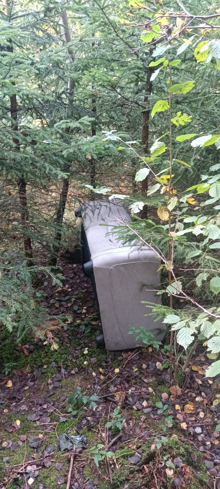 Unbekannter entsorgt Couch und weiteren Unrat im Wald.