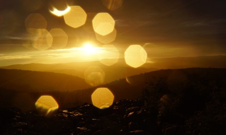 „Waldweihnacht - Den Heiligen Drei Königen auf der Spur"