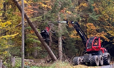 Neuer Rückeweg für eine zügige Borkenkäferbekämpfung