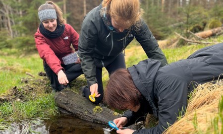 Bewerbungsphase fürs Commerzbank-Umweltpraktikum 2026 gestartet