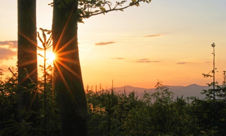 Bayerwald- Juniwetter 2022