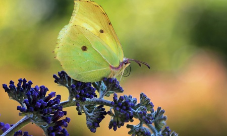 Temperaturrekord im Bayerwald