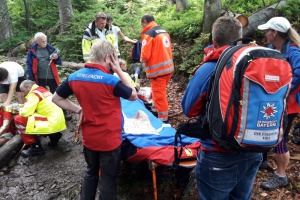 Wurzel wurde Urlauber zum Verhängnis