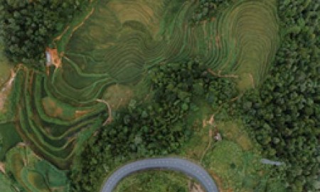 Nachhaltige Architektur im Tourismus: Luxusimmobilien mit umweltbewusstem Design