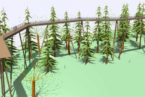 Waldwipfelfpfad Neuschönau soll kommen