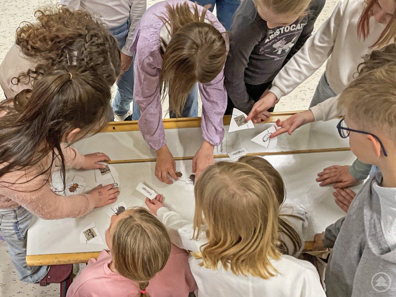 Kinder stehen gemeinsam an einem Tisch und besch&auml;ftigen sich mit Materialien aus dem Nationalpark, lernen spielerisch verschiedene Naturthemen kennen.