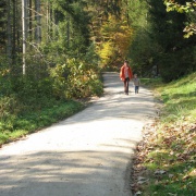 Weiherbuchet Wanderweg