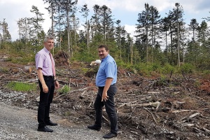 Wanderwege und Verbindungswege in Mitleidenschaft