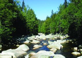 Neues aus dem Sumava